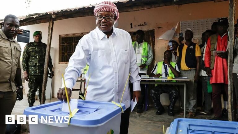 Several political figures in West Africa have referred to the Guyana-Bissau coup as a “sham.”