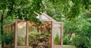 Gardeners urged to sow these three seeds that will thrive in December