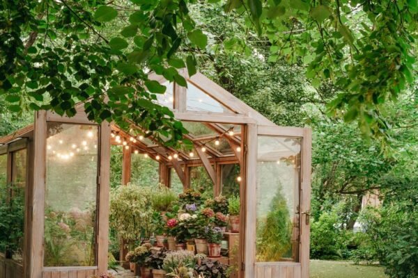 Gardeners urged to sow these three seeds that will thrive in December