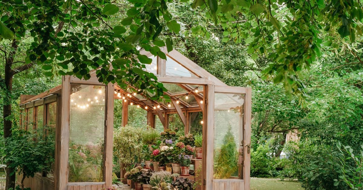 Gardeners urged to sow these three seeds that will thrive in December