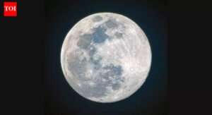 The Cold Moon of 2025: Why the final supermoon looked bigger, brighter and sharper in the December sky.