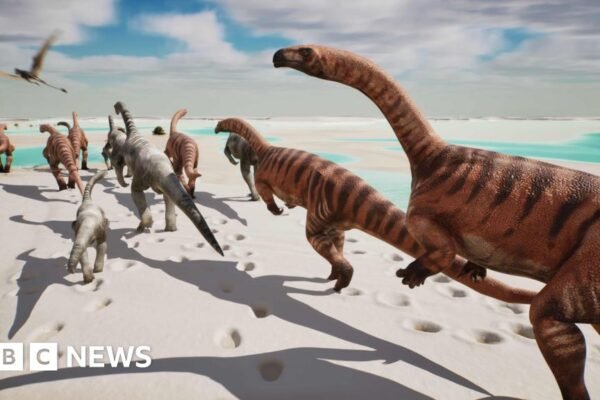 Thousands of dinosaur footprints found on Italian mountain