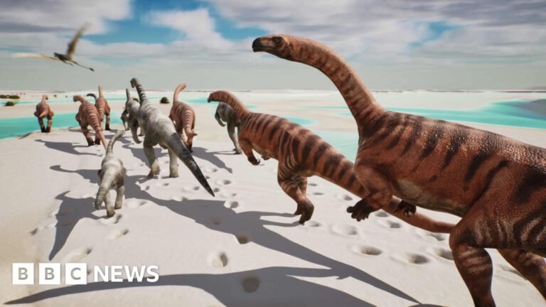 Thousands of dinosaur footprints found on Italian mountain