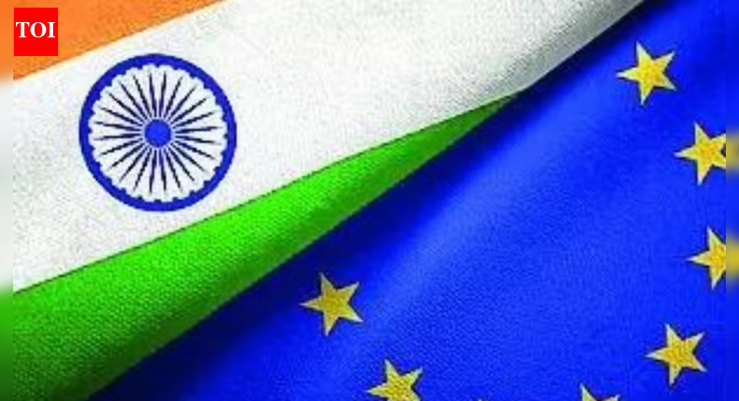 Cable security agenda: Indo-EU team to assess risks; cooperation on critical infrastructure on summit table